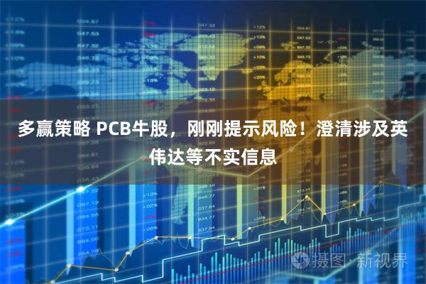 多赢策略 PCB牛股，刚刚提示风险！澄清涉及英伟达等不实信息